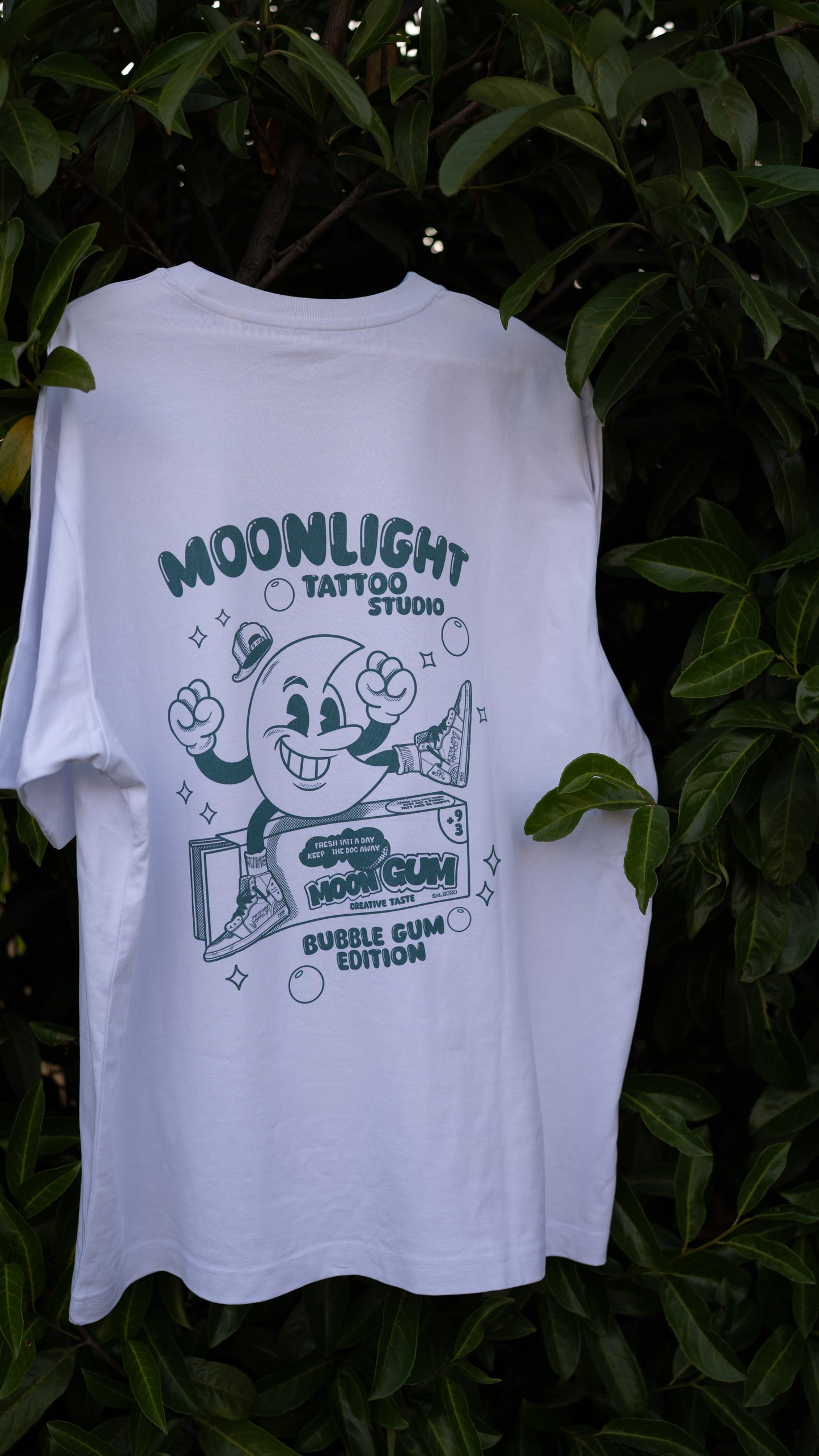 Moon Fly