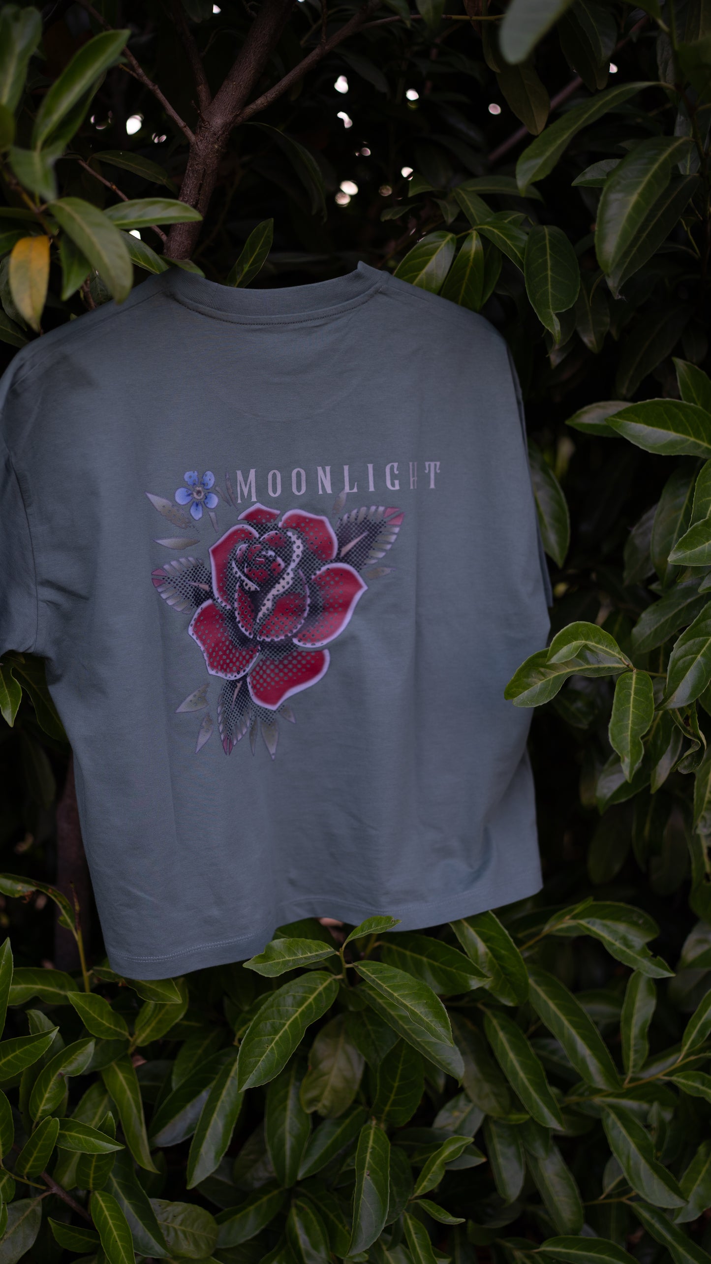 The Crop Rose